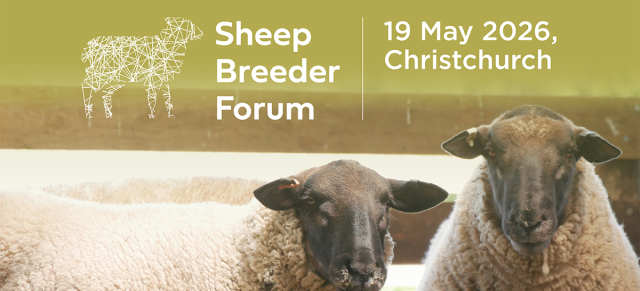 Sheep breeder banner
