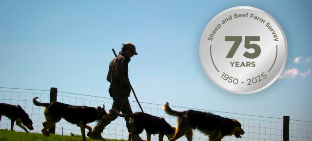 image of a farmer walking with dogs and 75 years survey logo 