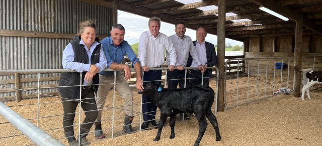 image of ministers and officials in calf pen