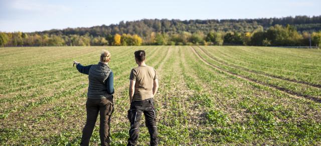 image of two farmers discussing pasture