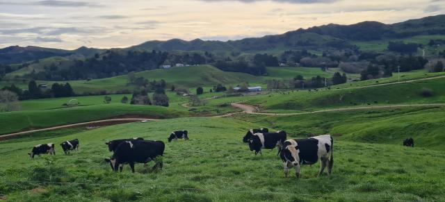 Te Pahu Monitor Farm