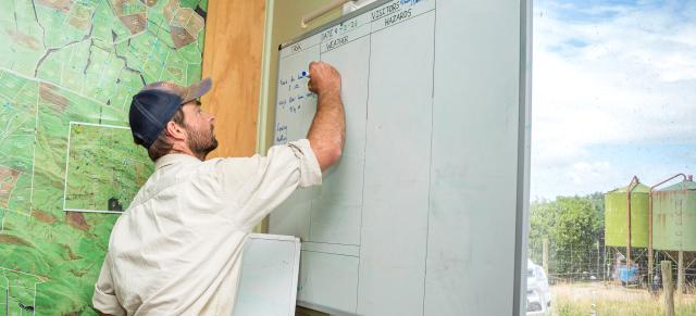 image of teacher writing on whiteboard