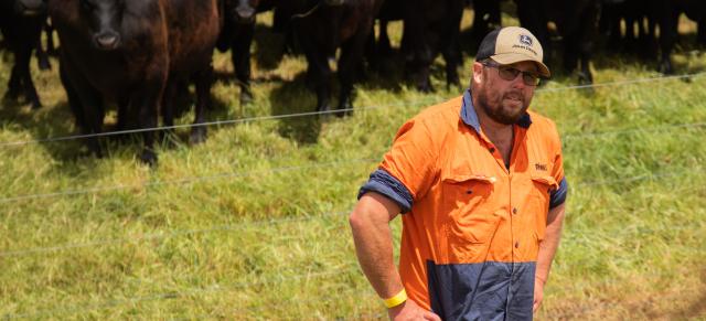image of Ben Fahey on farm infront of cattle