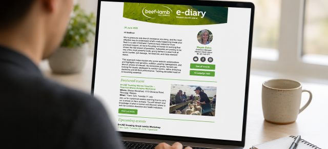 image of person at computer looking at e-diary on screen