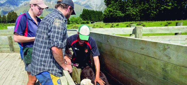 image of three farmers in the yard