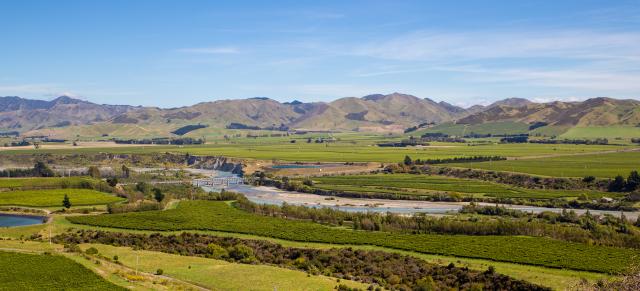 image of Marlborough landscape