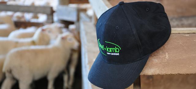 image of B+LNZ branded hat infront of sheep yard