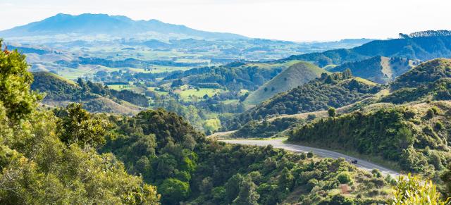 image of farmland and road running to Raglan in Waikato