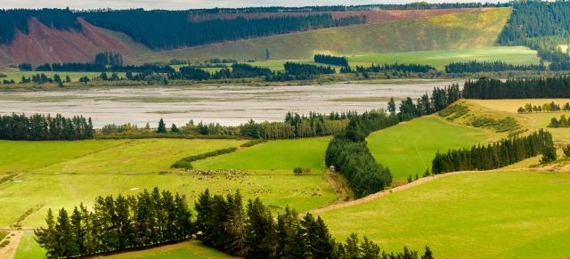 image of green farm and freshwater in background