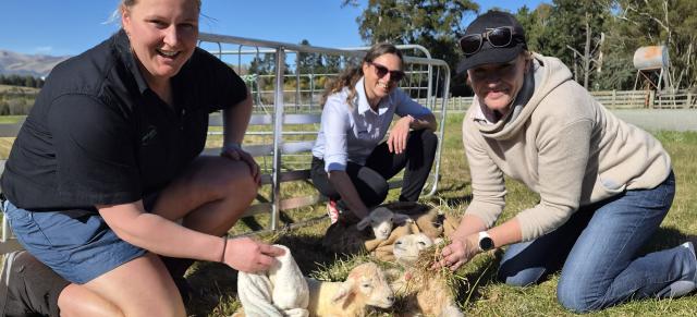 image of Annabel, Sarah and Ginny with newborn lambs