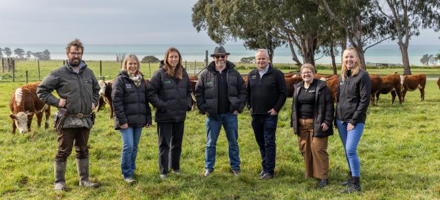 image of cool beef team on farm infront of cows