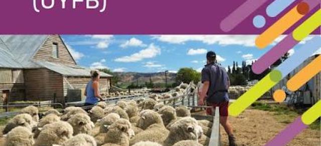 image of AWDT Understanding Your Farming Business brand and women in sheep yard