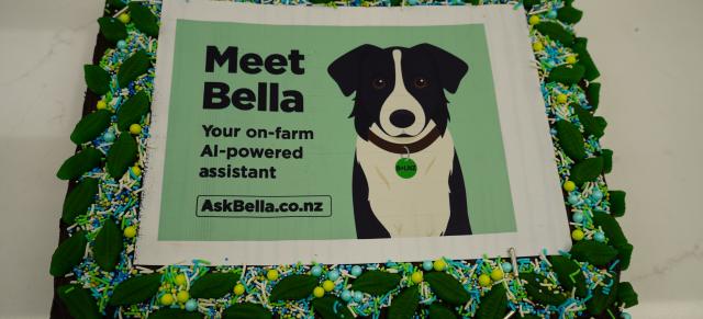 Image of Bella cake