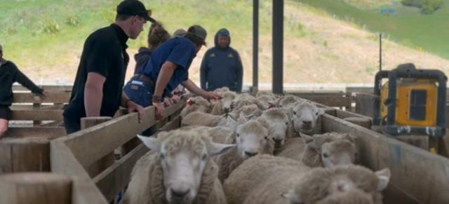 Ram buying 