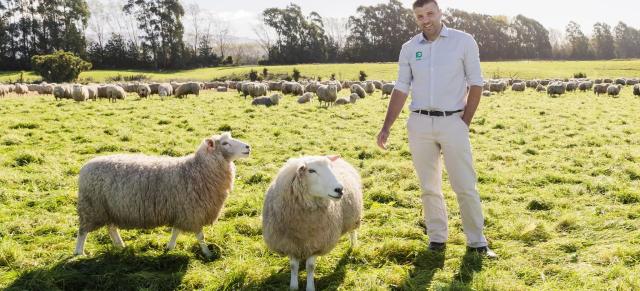 Image of Ryan with two sheep