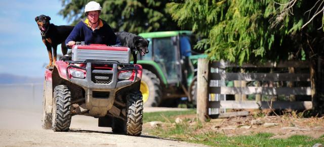 image of farmer and dog on quad bike