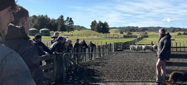 image of Shepherd Training on farm 