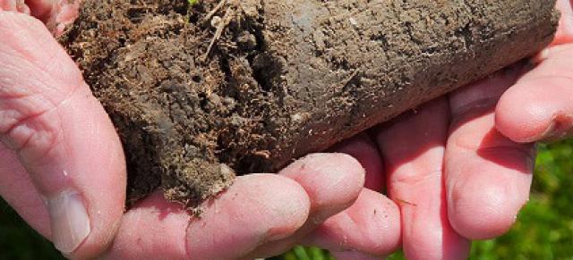 Image of soil in hands