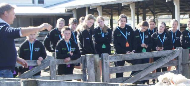image of students in the sheep yards