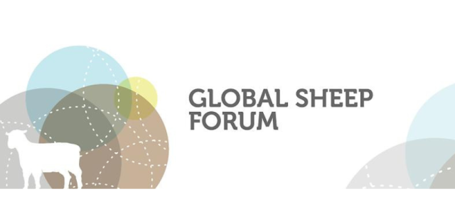 sheep forum sheep forum