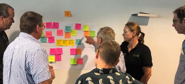 workshop workshop attendees brainstorming