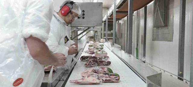 meat processing meat processing