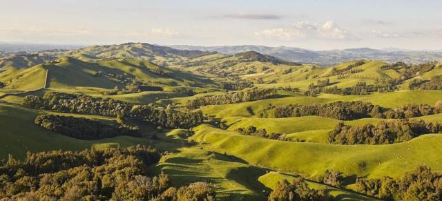rolling hills new zealand grasslands and rolling hills - sustainable agriculture