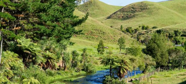 Image of river through Waikato farm.
