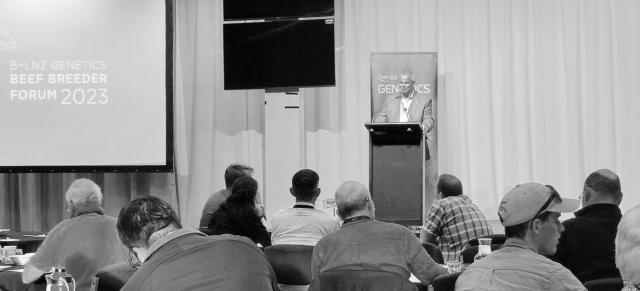 beef breeders forum beef breeders forum
