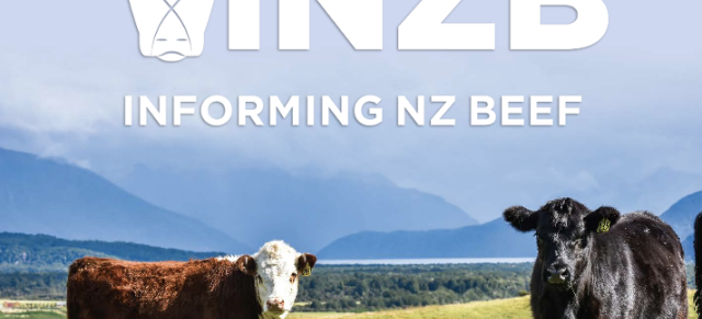 How Beef + Lamb New Zealand’s Informing New Zealand Beef programme will supercharge farmers’ genetic gains