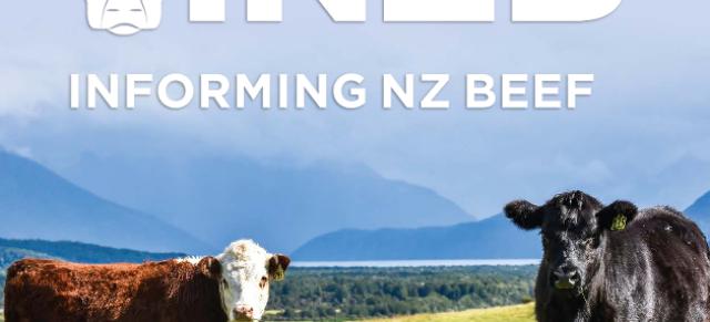 An introduction to the Beef + Lamb New Zealand Informing New Zealand Beef programme: what you need to know