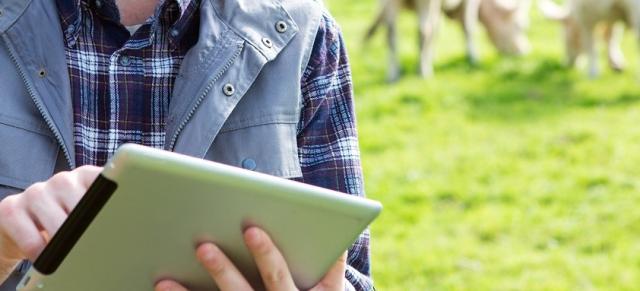 ipad farmer with ipad
