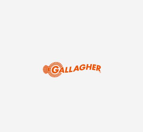 Gallagher logo