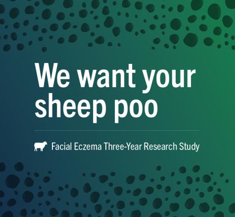 image of we want your sheep poo