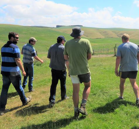 Image of farmers in field 
