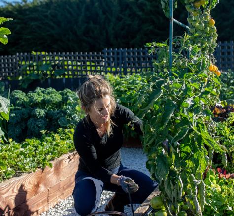 image of Stevie Cockburn planting