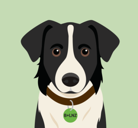 image of Bella avatar
