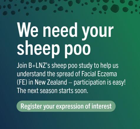 Sheep poo season 3