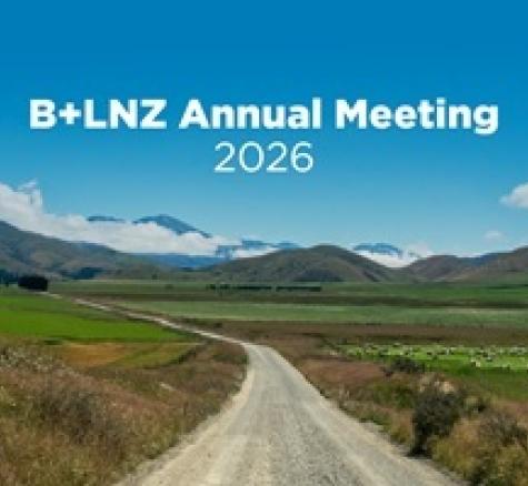 image of Annual meeting banner windy road