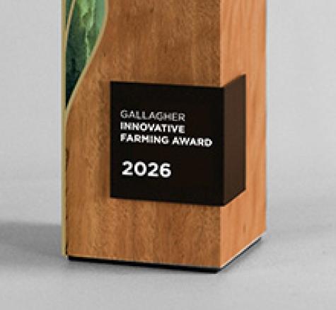 image of B+LNZ Awards trophy