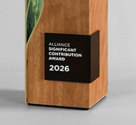 image of B+LNZ awards trophy