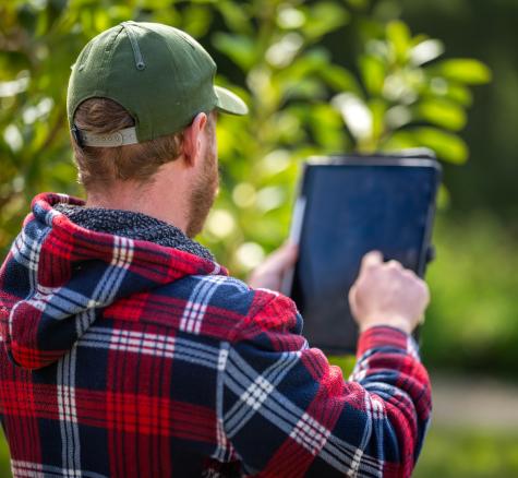 image of man using ipad