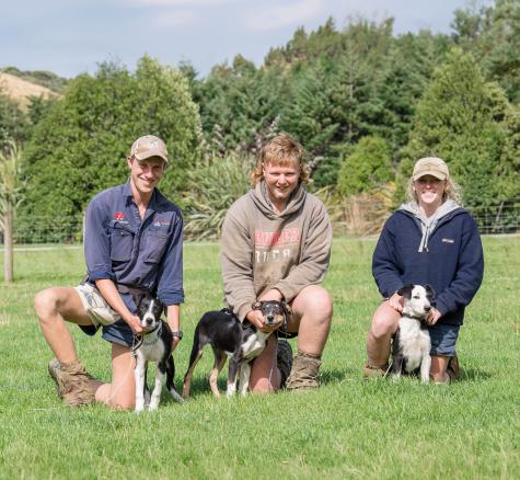image of three cadets with dogs