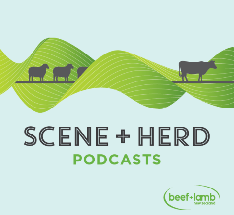 logo for Scene + Herd podcast channel