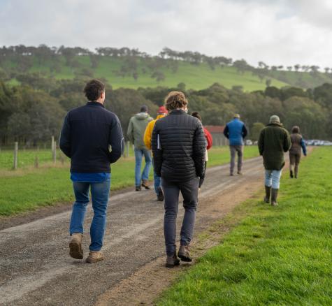 Image of farmers at a field day walking down road 