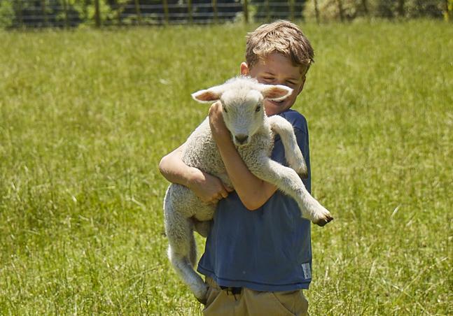 image of boy holding lamb in green pastures