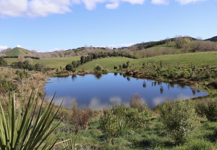 tukituki land 2