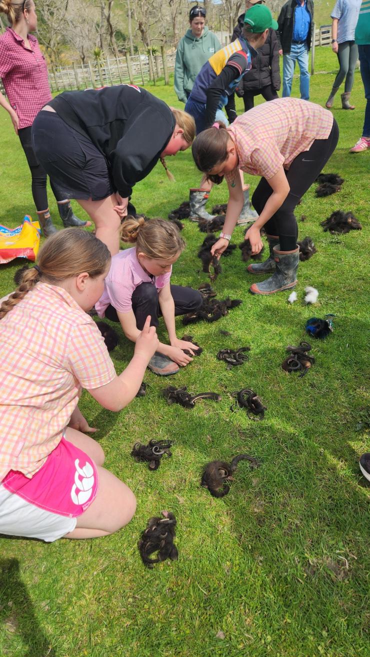 image of students with pests