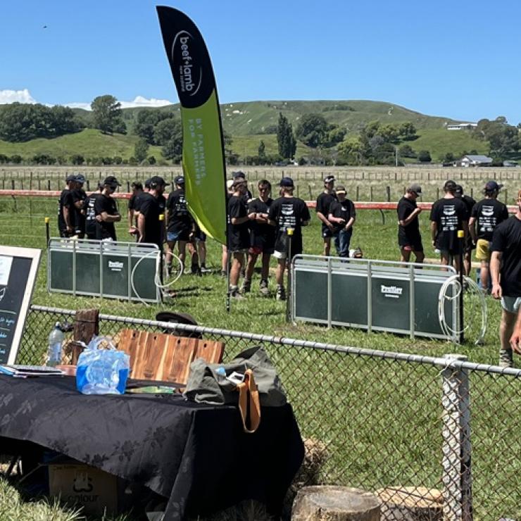 image of students doing outdoor activity