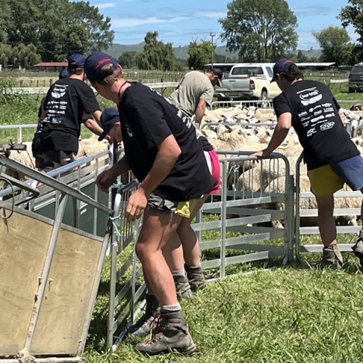 image of students doing yard activity